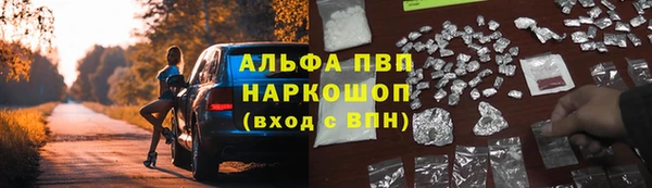 дурь Аркадак