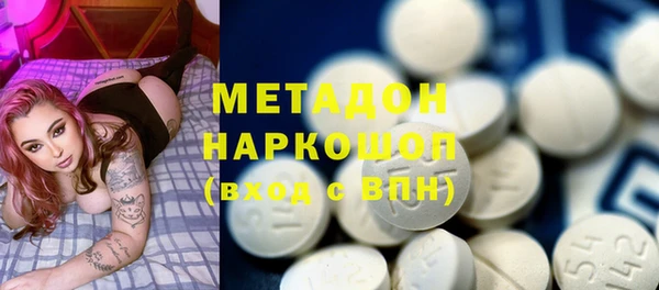 прущие грибы Алзамай
