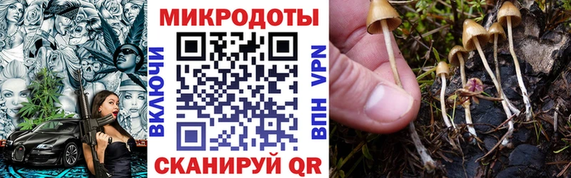где найти   Устюжна  Галлюциногенные грибы прущие грибы 