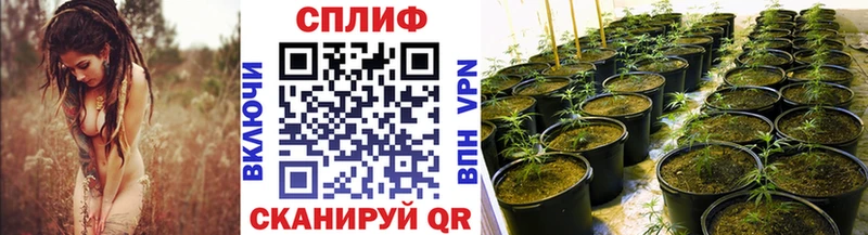 Марихуана конопля  Устюжна 